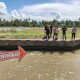 Terseret Arus Saat Mancing di Irigasi, Bocah 9 Tahun di Polman Tewas 