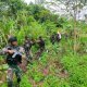 Lagi OPM Bantai 8 Pendulang Emas di Yahukimo
