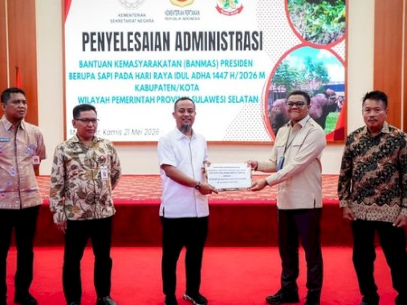 Prabowo Sumbang 25 Sapi Kurban di Sulsel, Didistribusi ke 24 Kabupaten-Kota