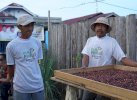 Cerita di Balik Aroma Kopi Oishii : Transformasi Ekonomi UMK Batui Bersama PLN UIP Sulawesi