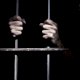 Polisi Bongkar Sindikat Penipuan Online di Jateng, Eks Artis Ditangkap