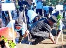 Selamatkan Lingkungan Pesisir, Gubernur Sudirman Tanam 1.000 Mangrove di Selayar 