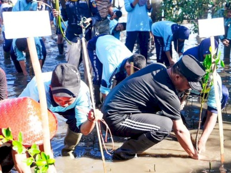 Gubernur Sulawesi Selatan (Sulsel) Andi Sudirman Sulaiman melakukan penanaman 1.000 pohon mangrove di Kabupaten Selayar.