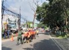 Antisipasi Pohon Tumbang, BPBD Sumedang Lakukan Pemangkasan di Sejumlah Titik