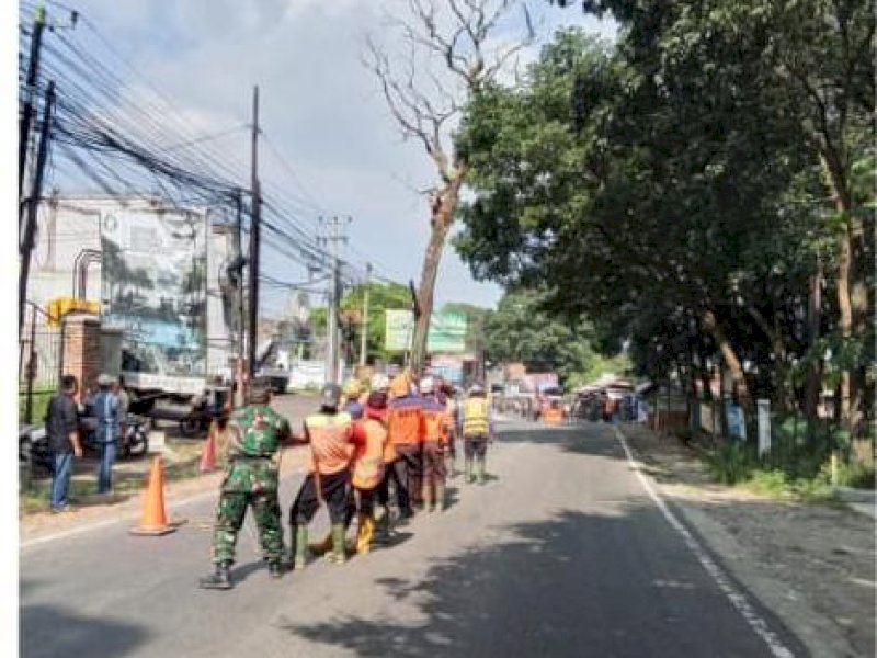 BPBD Kabupaten Sumedang, Jawa Barat, melakukan pemangkasan pohon rawan tumbang. 