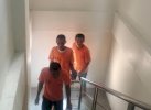 Usai Didemo PPGT, Polisi Tangkap Terduga Pelaku Judi Adu Kerbau di Toraja Utara