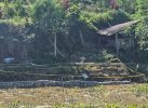 Lahan Di-police Line, Warga Toraja Utara Minta Polisi tak Sewenang-wenang 