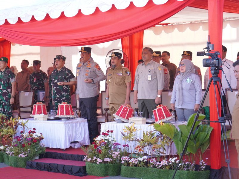Andi Rosman: Bantuan Alsintan Dorong Pertanian di Wajo Lebih Produktif 