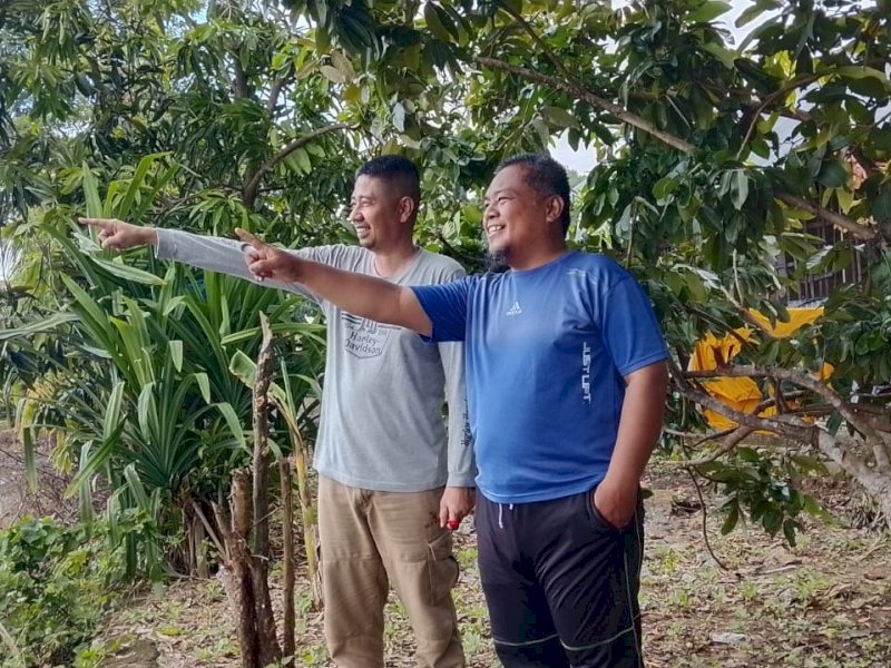 DLH Perkenalkan 'Wajo Green Pest', Cairan Antirayap Dibuat dari Limbah 