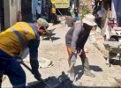 Respons Aduan Warga, Dinas PU Makassar Lakukan Pemasangan Paving Blok di Jl Sinassara&nbsp;