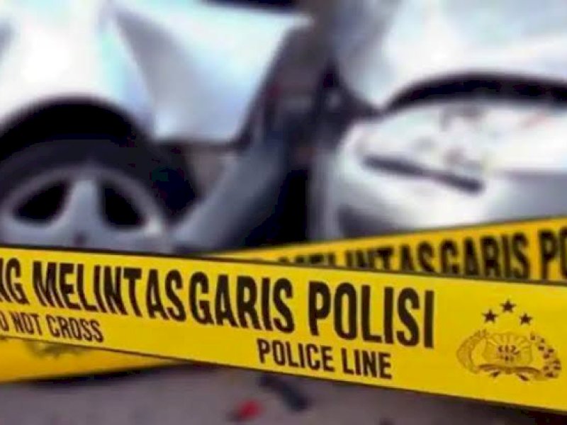 Tabrakan Truk dan Mobil Pengangkut Ikan di Tator, 1 Orang Tewas-3 Luka