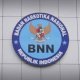 Program BNN Cegah Penyalahgunaan Narkoba, dari Ketahanan Keluarga hingga Sekolah 