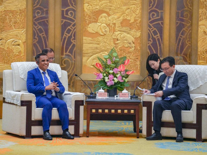 Bertemu Pemerintah Sichuan, Gubernur Anwar Hafid Ajak Bangun Hilirisasi Industri di Sulteng 