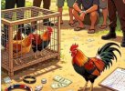 Terungkap Identitas Pemilik Arena Judi Sabung Ayam di Bahodopi Morowali: Inisialnya PK 