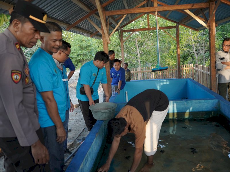PLN UIP Sulawesi Serahkan Bantuan Konservasi Penangkaran Penyu di Pantai Lentora Donggala