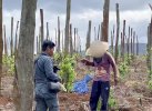 Soal Pengrusakan Hutan Lindung di Luwu Timur, 2 Oknum Anggota DPRD Terseret