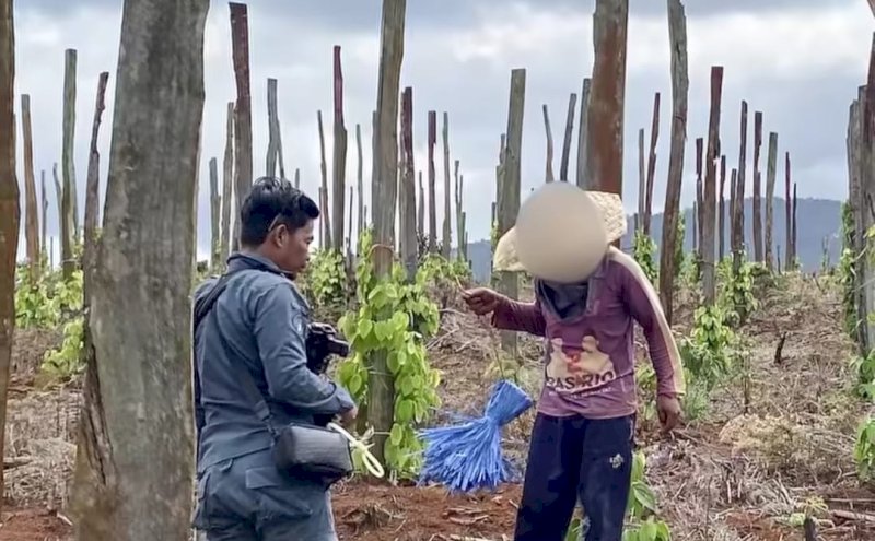 Soal Pengrusakan Hutan Lindung di Luwu Timur, 2 Oknum Anggota DPRD Terseret
