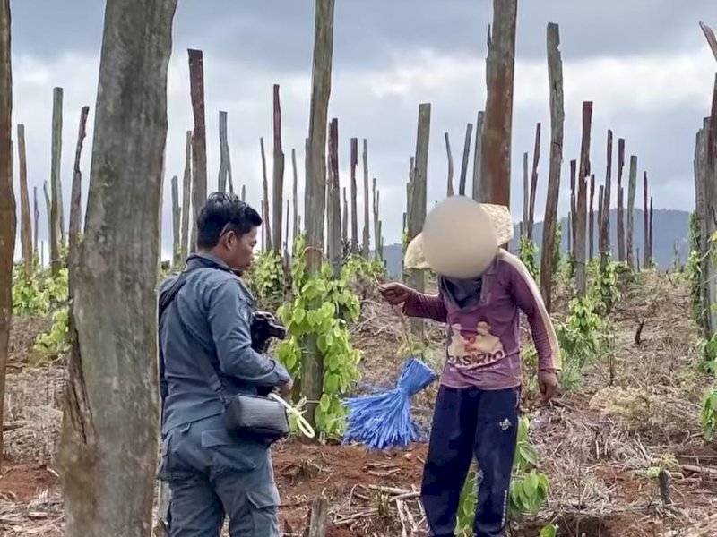 Aktivitas warga di salah satu lokasi yang diduga masuk kawasan hutan lindung di Lutim. 