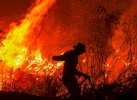 Risiko Karhutla Meningkat di Sulsel, Enrekang-Luwu Raya Masuk Zona Rentan 