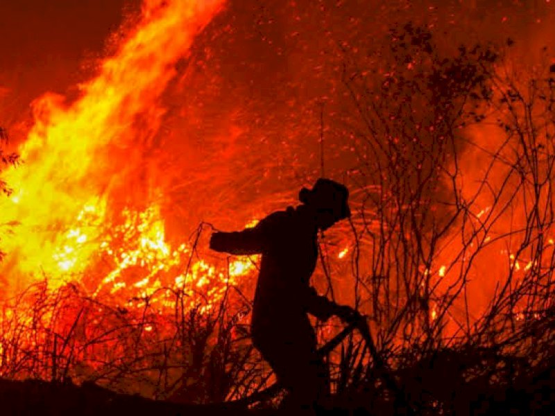 Risiko Karhutla Meningkat di Sulsel, Enrekang-Luwu Raya Masuk Zona Rentan 