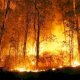 Karhutla Meluas di Indonesia, Kalimantan Terparah 