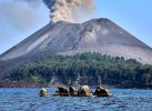 Badan Geologi: 4 Gunung Api Meletus Hari Ini, Termasuk Krakatau dan Semeru
