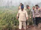 Prabowo Minta Polri Tangkap Otak Karhutla di Sumatra-Kalimantan 