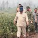 Prabowo Minta Polri Tangkap Otak Karhutla di Sumatra-Kalimantan 
