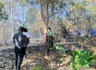 Kebakaran Lahan di Tanasitolo Wajo, TNI-Damkar Turun Tangan 