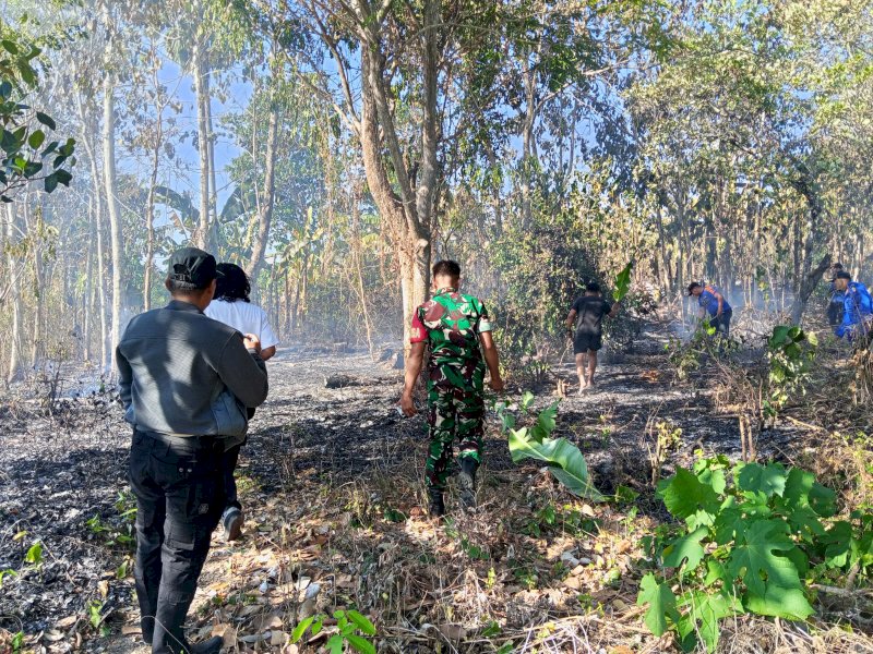 Kebakaran Lahan di Tanasitolo Wajo, TNI-Damkar Turun Tangan 