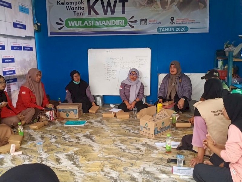 Program TJSL PLN Dorong Produktivitas, Nilai Panen KWT Wulasi Mandiri Naik Dua Kali Lipat