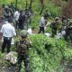 TNI Musnahkan 1.347 Batang Ganja di Papua Pegunungan, Diduga Ditanam OPM