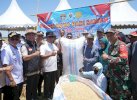 Bupati Andi Rosman Puji Petani Wajo Tetap Produktif di Tengah Kekeringan Ekstrem 