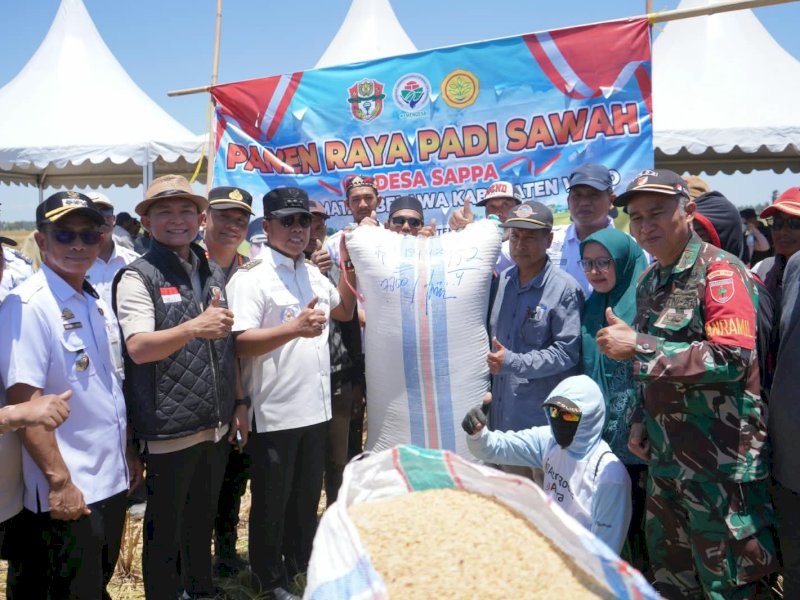 Bupati Andi Rosman Puji Petani Wajo Tetap Produktif di Tengah Kekeringan Ekstrem 