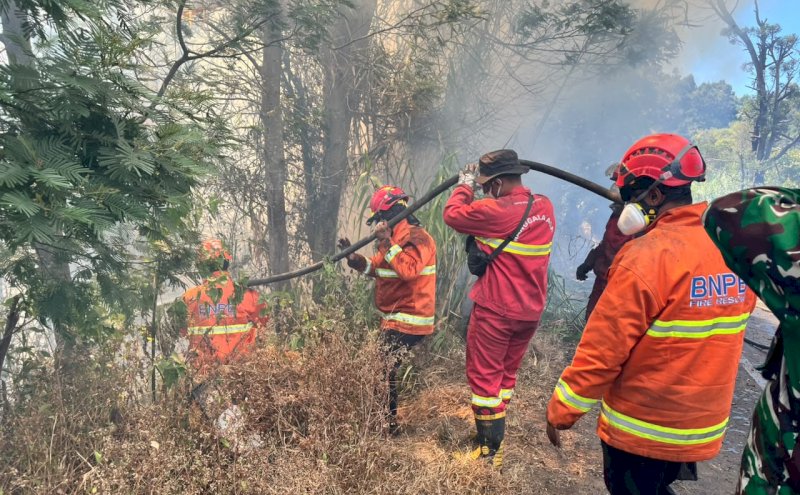 Karhutla Masih Berkepanjangan, 64 Pesawat-54.394 Personel Sudah Dikerahkan 