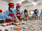 Marak Kasus Keracunan MBG, Komisi IX Minta Dapur MBG tak Penuhi Standar Ditutup