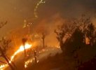 243 Orang dan 13 Korporasi Ditetapkan Tersangka Karhutla, Kalbar Terbanyak 