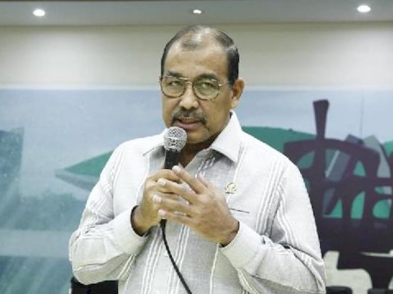Wakil Ketua DPD Nono Sampono. (Foto: Int)