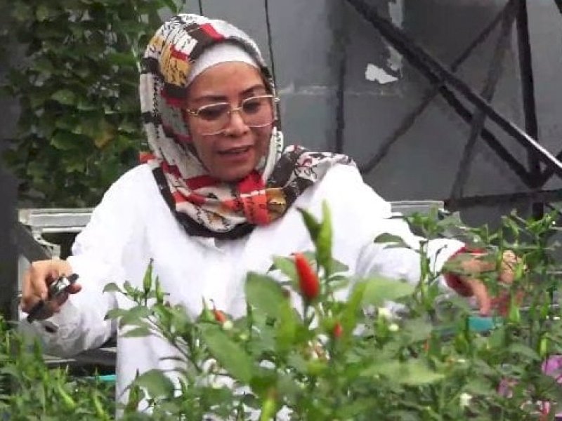 Anggota DPRD Kota Makassar, Nunung Dasniar, 