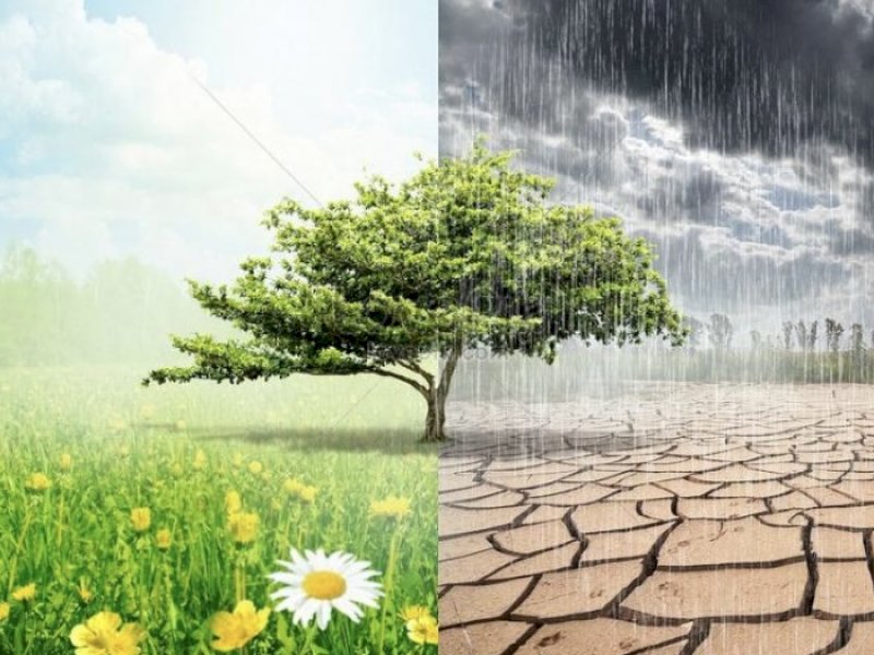 Ilustrasi musim pancaroba. (INT)