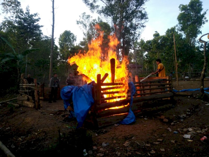 Polisi bakar arena judi sabung ayam di Bulukumba (Foto: Ist)