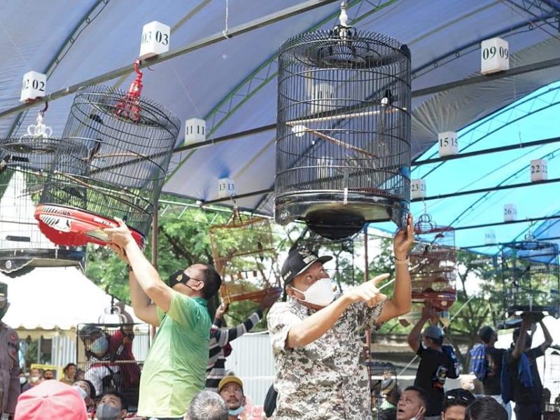 Perlombaan burung berkicau. (Foto: Ist)
