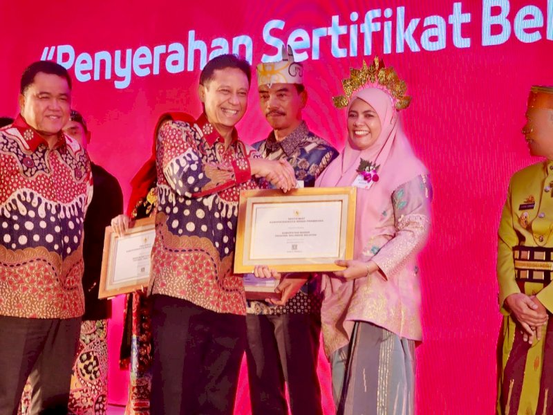 Pemkab Maros Raih Penghargaan Bebas Frambusia, Wabup: Ini Bentuk Komitmen Bersama 