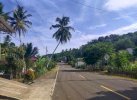 Ancam Keselamatan Pengguna Jalan, Camat Bengo Perintahkan Kades Tebang Pohon Miring 