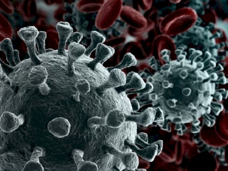 Varian Baru Corona Meluas, Kini Jangkiti China dan AS 