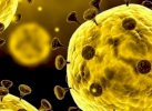 WHO Umumkan Asal Usul Virus Corona Pekan Depan