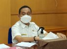 Potensi Picu Kerumunan, Lokasi Live Score CPNS di Lutra Ditiadakan