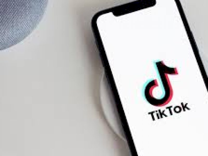 Aplikasi TikTok. (Net)