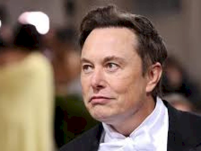 Elon Musk (int) 