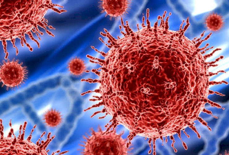 Maju Mundur Lawan Corona